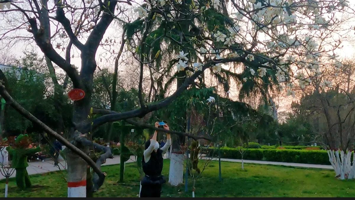 西安莲湖公园要门票吗,西安莲湖公园历史