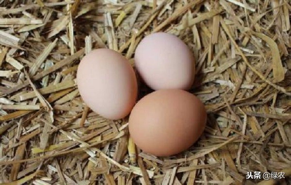 今日鸡蛋价格天津武清区鸡蛋价格,今日鸡蛋价格讷河鸡蛋价格