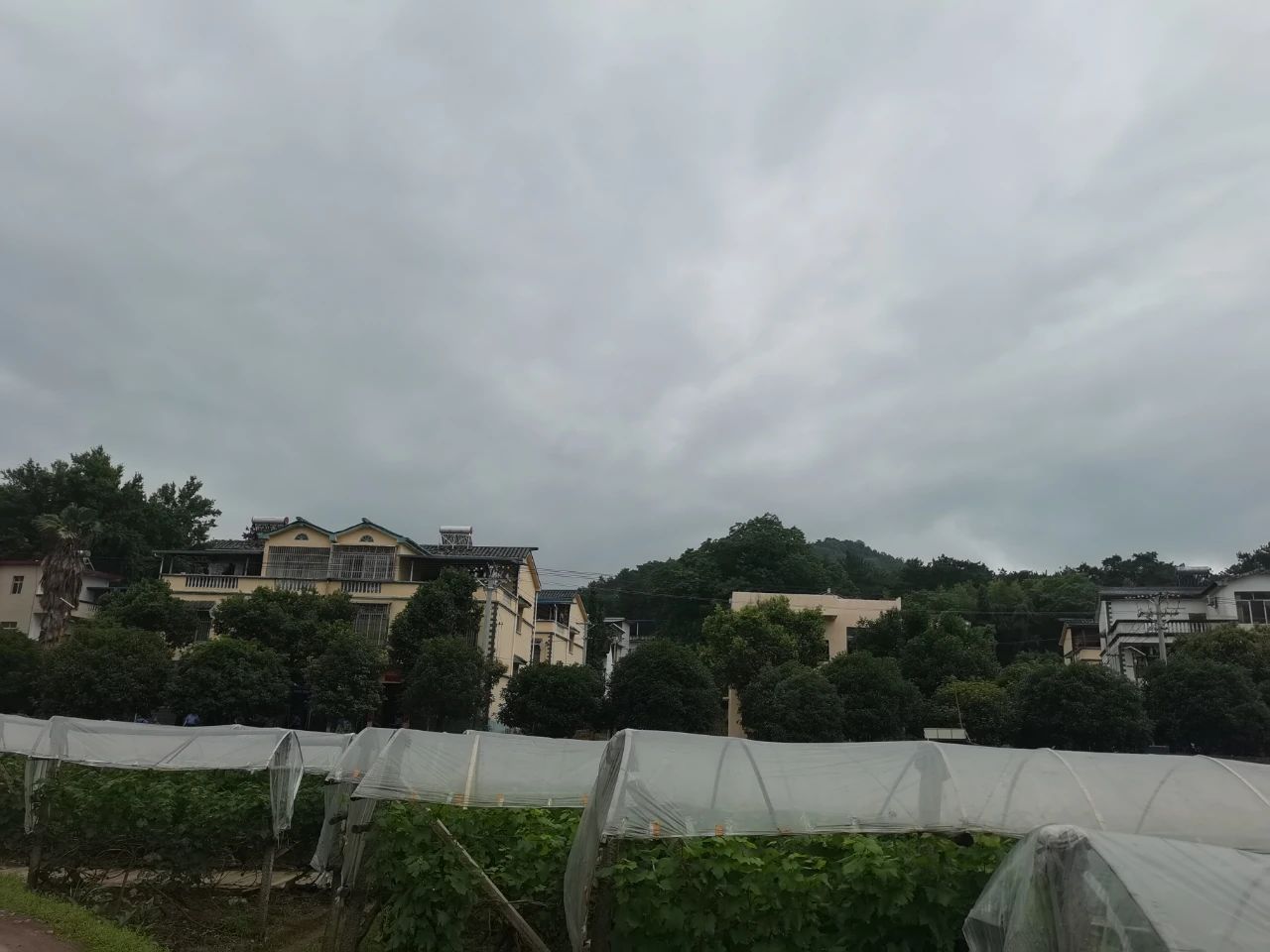 调侃致富经的段子,赞美发家致富的句子