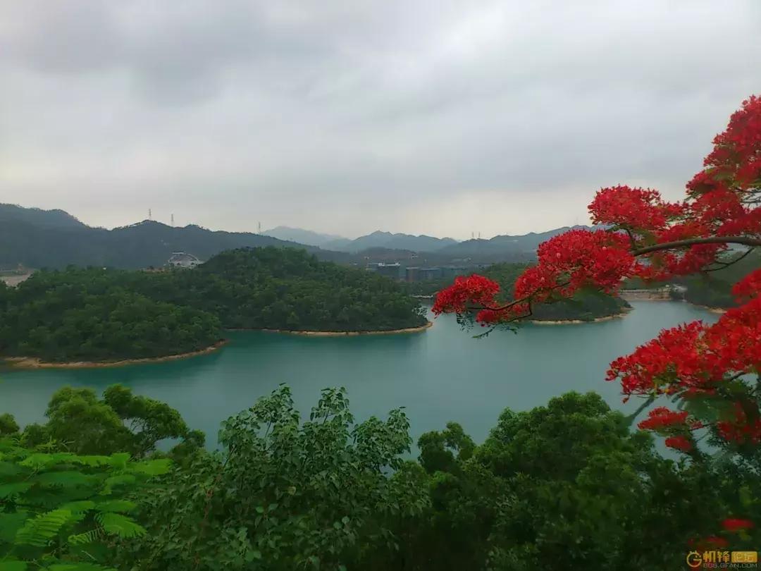 珠海冬季风景,南方冬天自然美景珠海