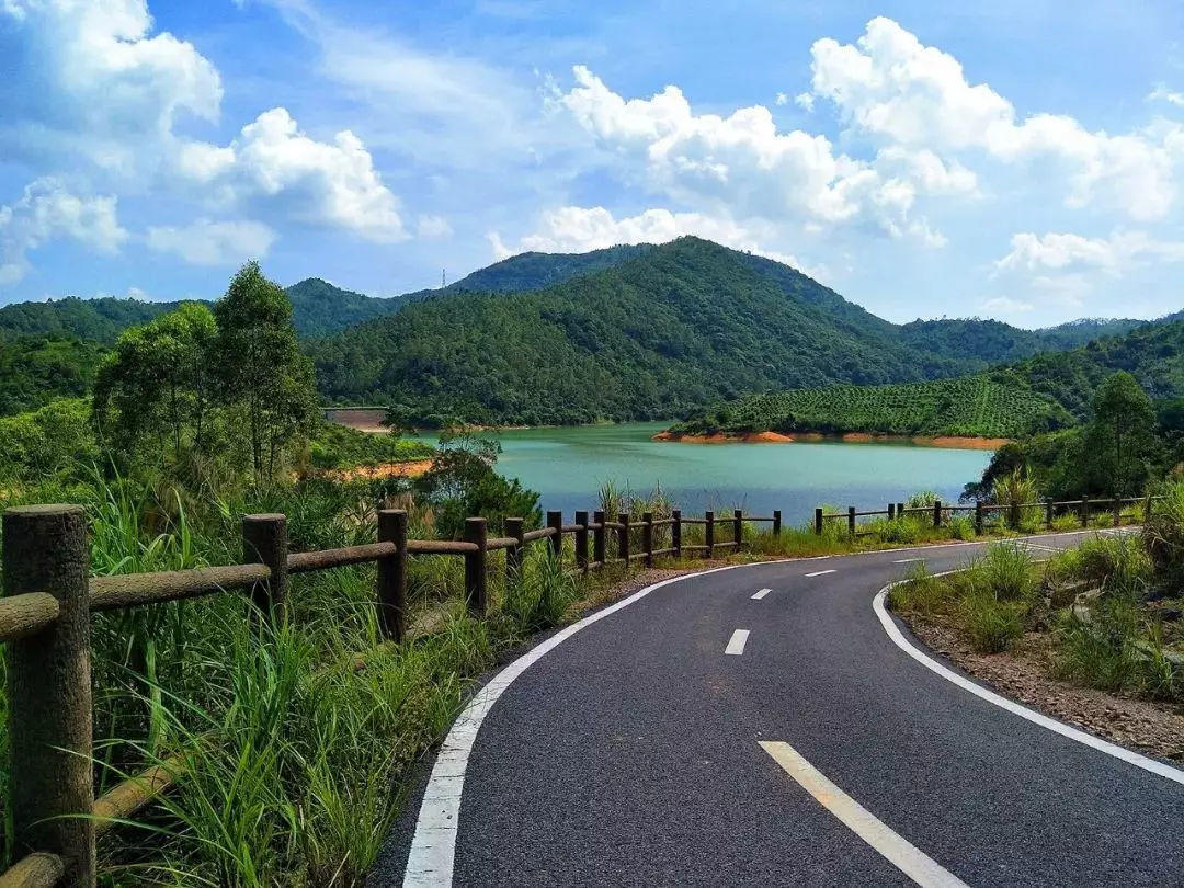 博实乐自然共和国营地精彩回顾|走进三大科技之美，成就未来英才