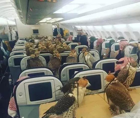 迪拜最有钱小孩子,迪拜沙特哪个有钱