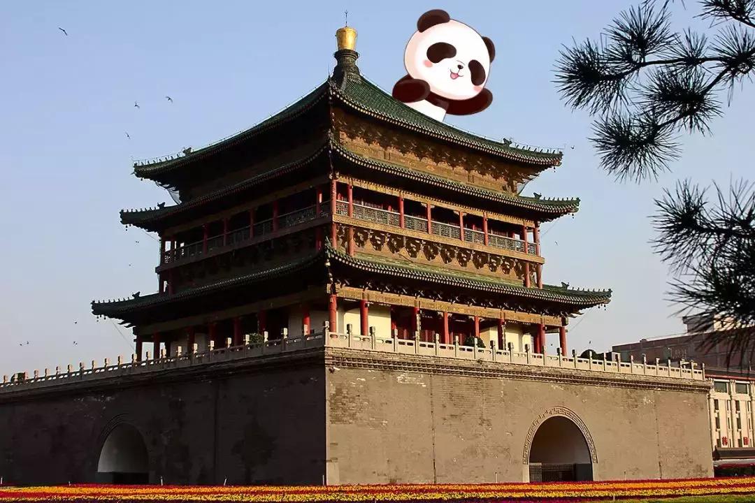 打卡西安攻略,上海网红成都西安打卡