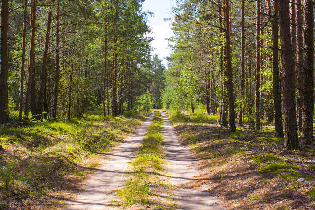 读书《少有人走的路》,《少有人走的路》读书笔记
