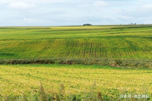 耕地面积前十名国家,中国十大耕地面积排名榜