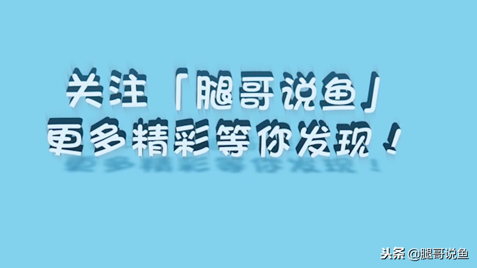 除油膜面巾纸,养鱼小技巧观赏鱼