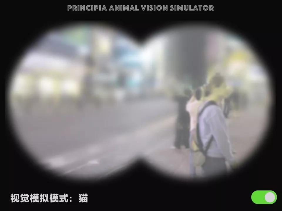 视觉软件exe,视觉模拟器