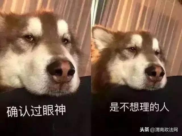 2018最常用的网络用语,人民日报2021年度十大网络语