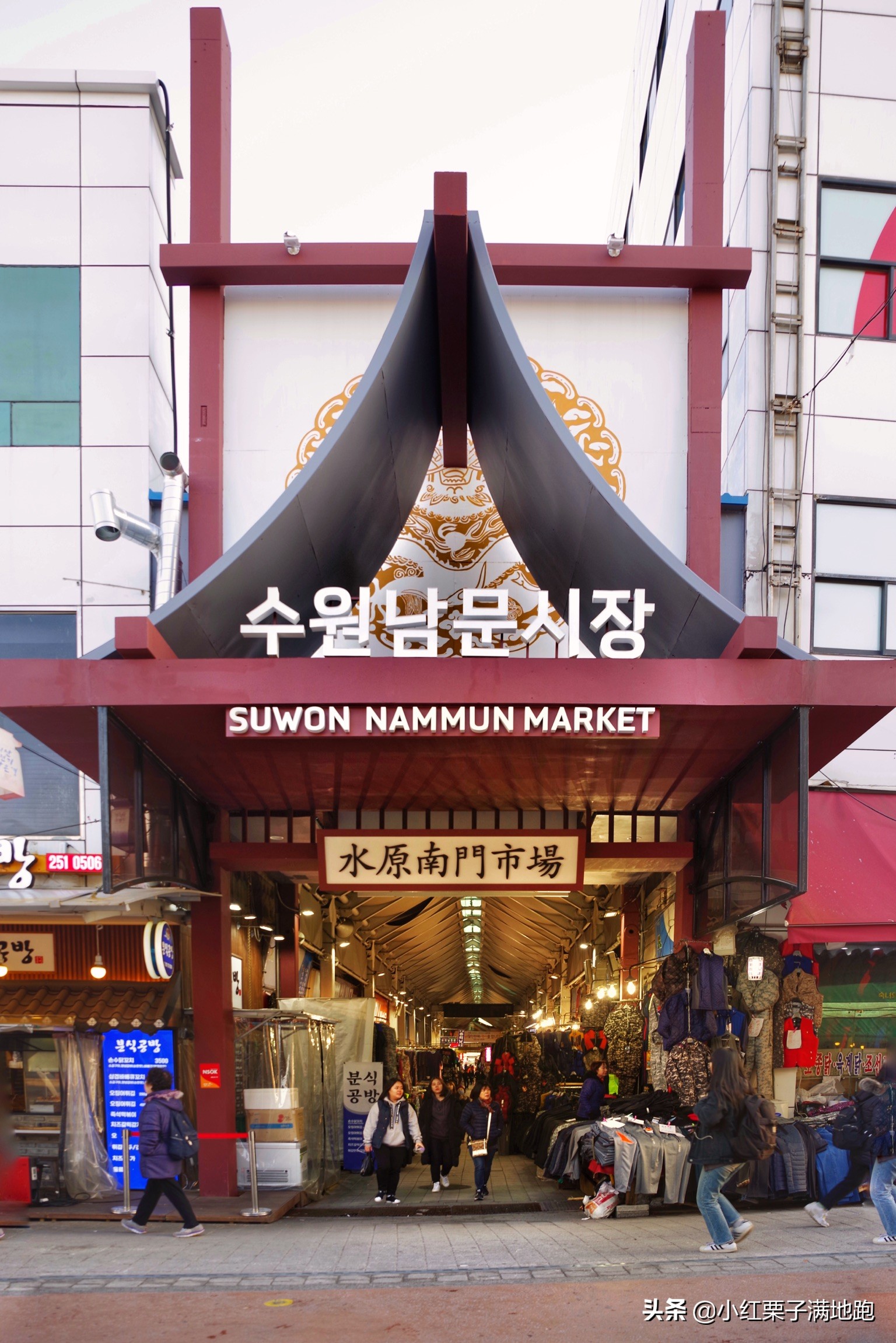 疫散花开张家界,疫散花开欢迎归来