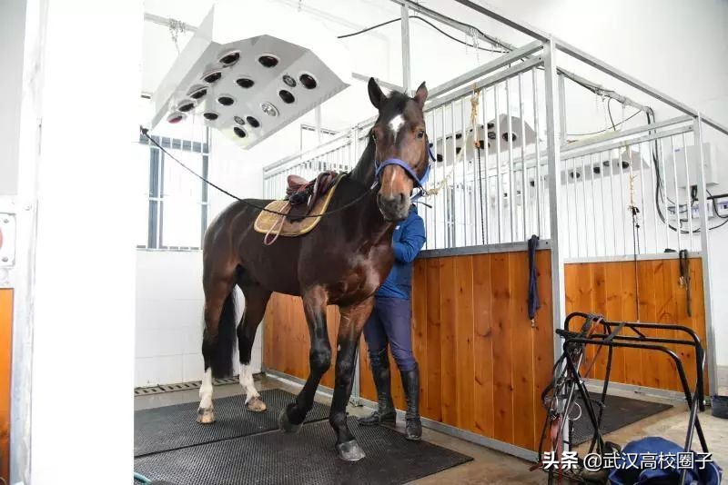 武汉低调神秘的高校,武汉低调的大学