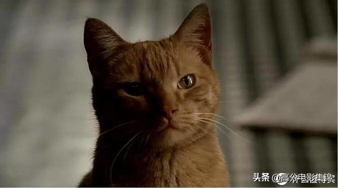 推荐美剧里最经典的十部,高分完结美剧推荐