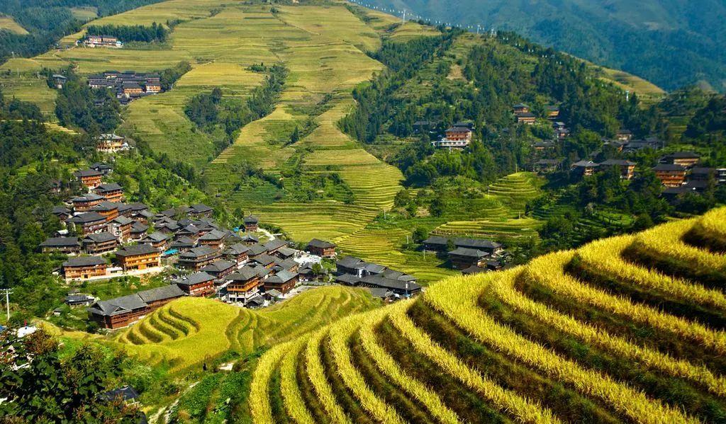 「漫步学府，行摄龙脊」最美金秋，我在这里等你