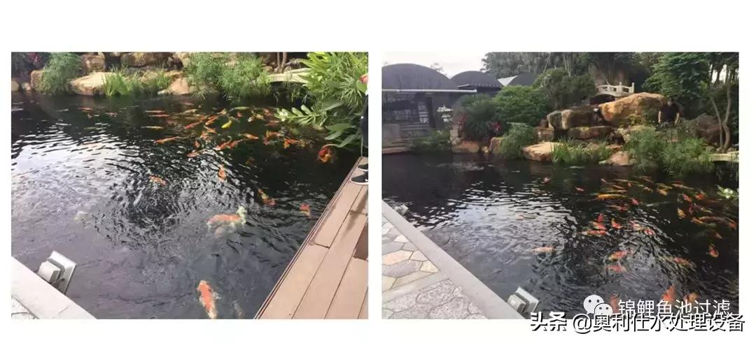 锦鲤鱼池过滤仓建造过程视频,锦鲤鱼池最好的过滤方式