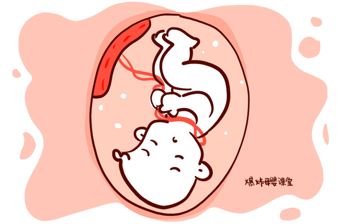 怀孕时，哪些检查让孕妈妈“不能忍受”？这几个都过了的恭喜你