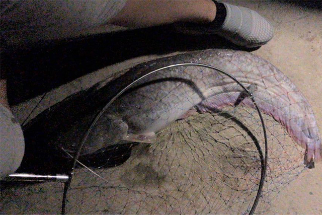 钓鱼人的收获有哪些,钓鱼人意想不到的收获