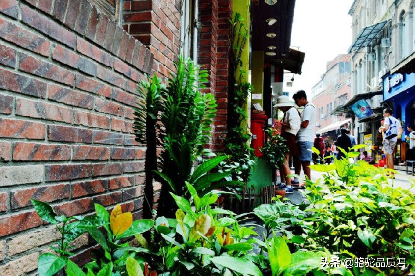 厦门海边之旅,厦门小众旅游体验