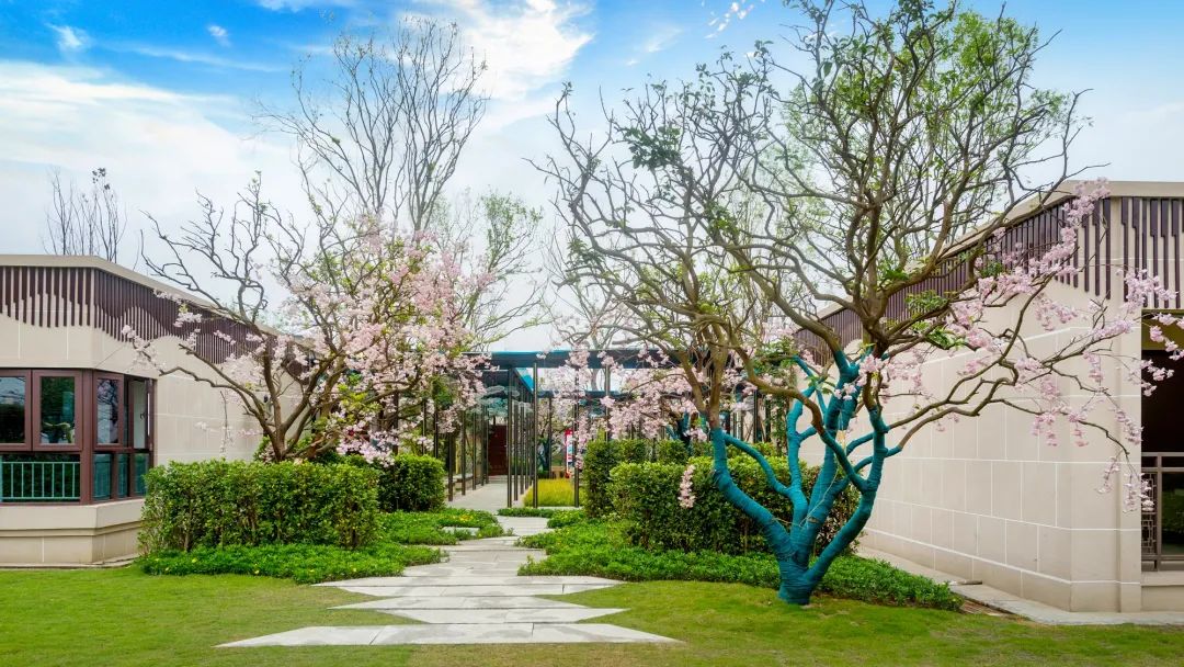 城南品质大盘,城南新区10万左右的房子