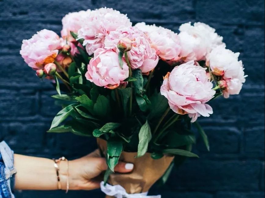 半年零基础雅思7.5,两个月雅思7.5上岸经验分享