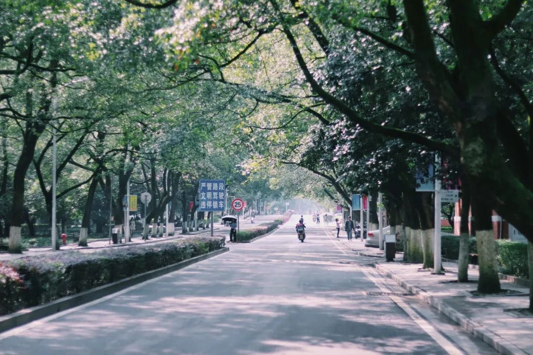 高考中南大学,高考结束来看看学生们的分数