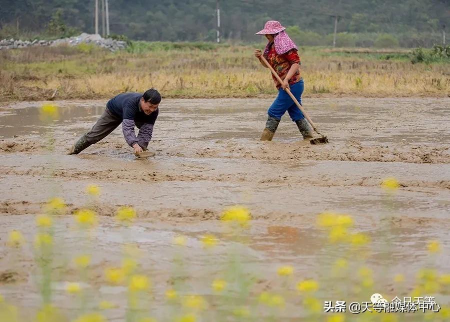 天等抢劫,天等抢钱案