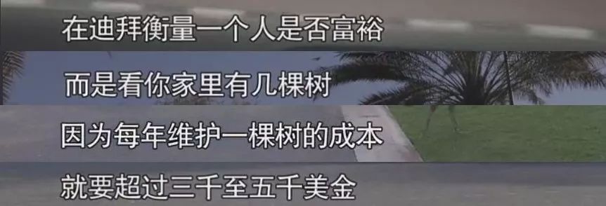 世界之最迪拜,迪拜十个世界之最