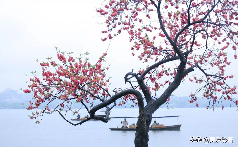 成语的误用类型有哪些,人民日报整理易错的四字成语