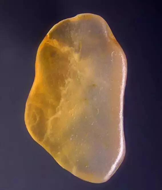 这些石头价值不菲，随便捡到一块妥妥的人生赢家