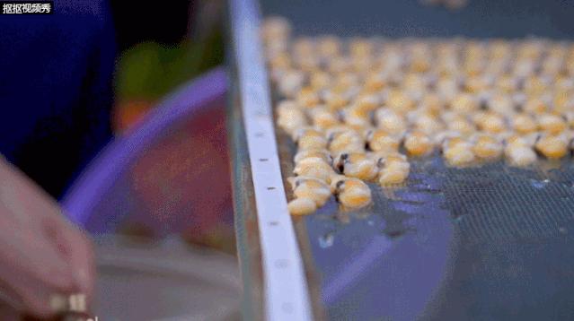 爱上福建的理由,爱上顺德的n个理由