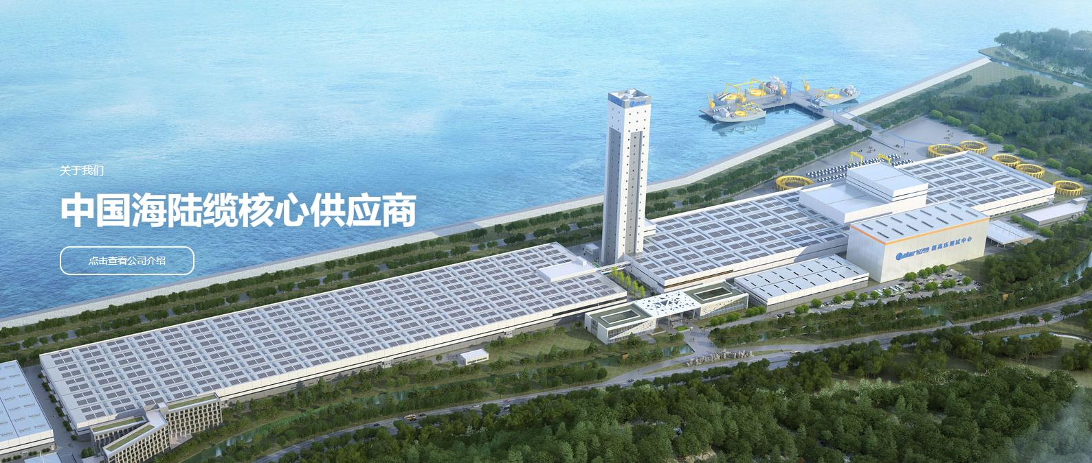 低市值龙头股一览表,低估值龙头