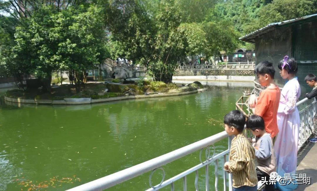 三明麒麟山公园鸟瞰,麒麟山公园三明门票