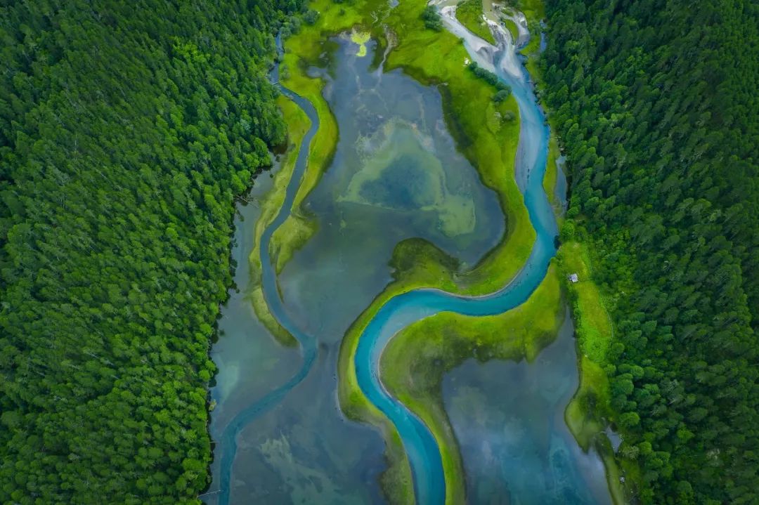 四川成都最适合养老的地方,四川成都养老