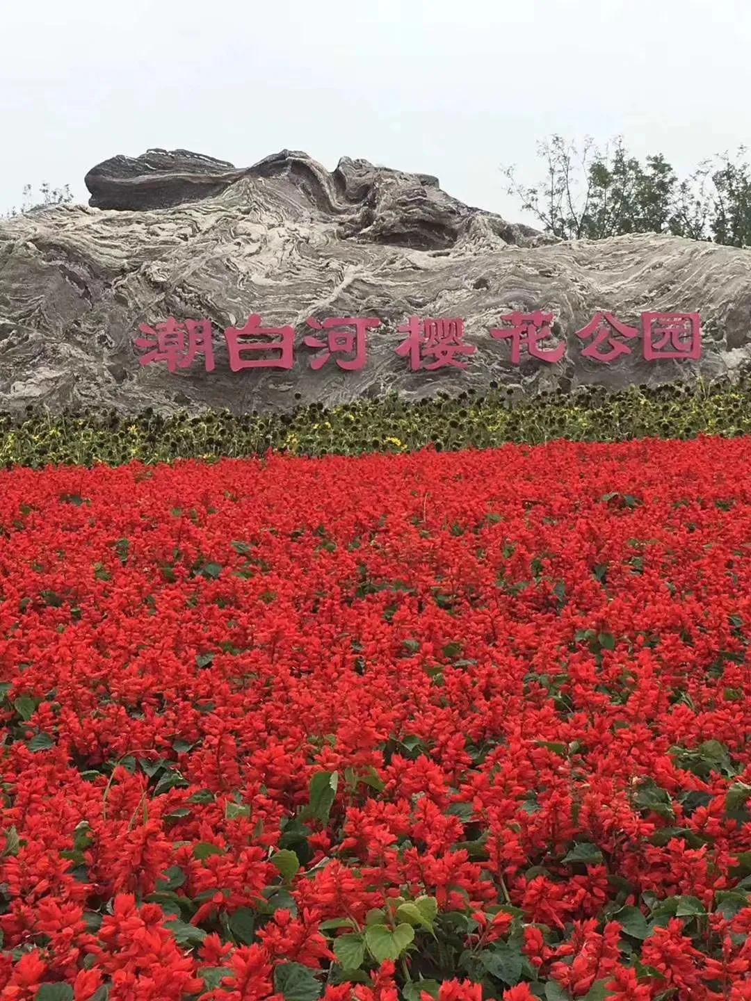 廊坊市大厂县潮白河孔雀城,潮白河孔雀城与北京一河之隔