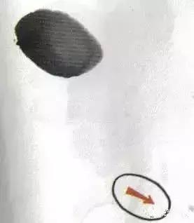 写意花鸟配景石的画法,干货写意花鸟类的画法