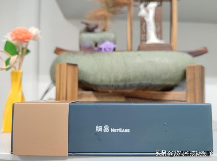 有道英语词典2.0要网络吗,有道词典笔3.0专业版怎么学英语