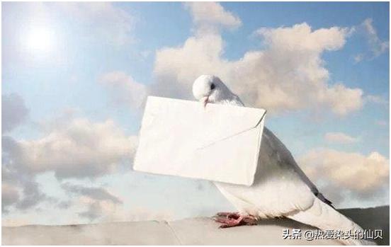 爱和平传捷报为民造光辉，翱翔蓝天的是世人期望的和平——鸽子