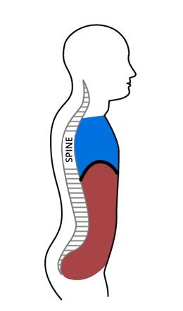 没时间去健身房怎么学瑜伽,没有午休快速恢复的瑜伽动作
