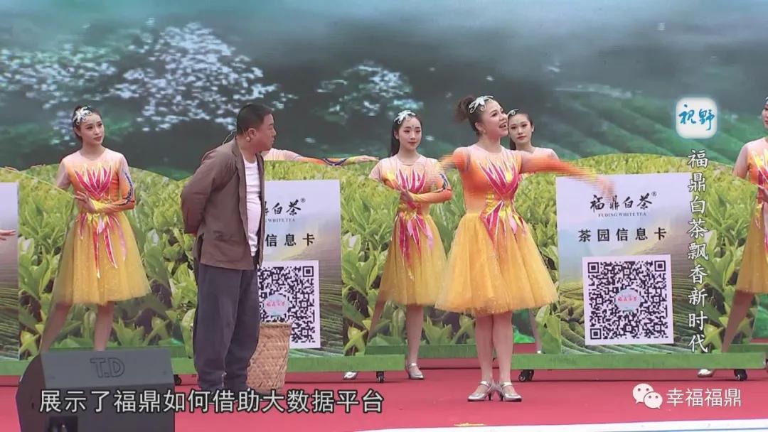 福鼎白茶兴起,白茶步入产业振兴快车道