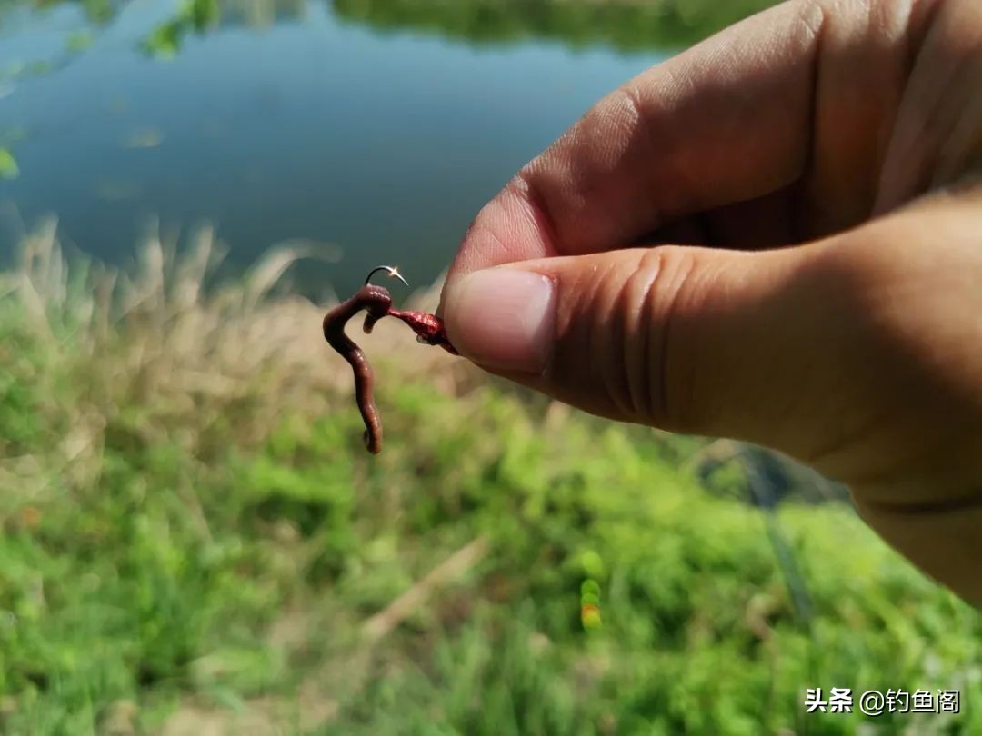 钓鱼的思路和细节,钓鱼是简单的事别将它复杂化了
