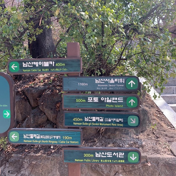 樱花韩国歌曲,樱花味的日语