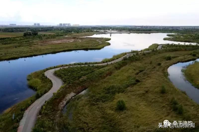 山阴县合盛堡乡新闻,山阴县岱岳镇