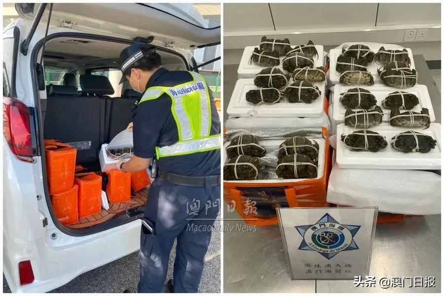 带2000斤大闸蟹回家,被查处带大闸蟹过关会没收吗