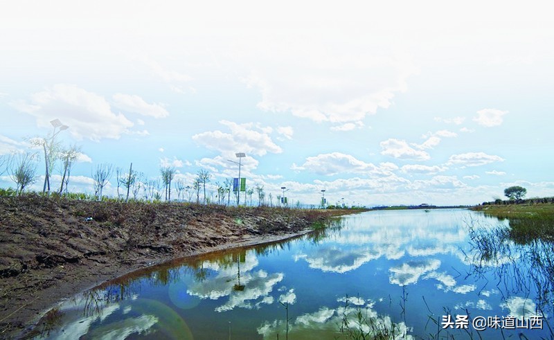 山阴桑干河湿地风光,山西山阴桑干河湿地公园
