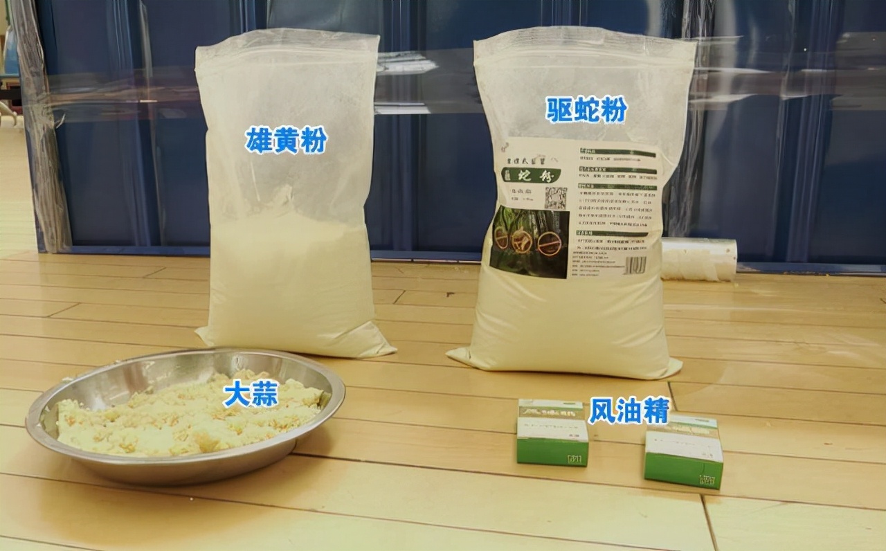 物业都说抓不完!南宁一小区惊现眼镜蛇银环蛇,养猫养狗能防蛇吗