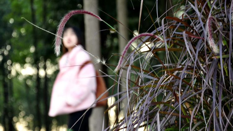 深秋的私语,美文美图经典欣赏