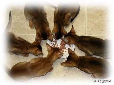 腹泻十几次最快的治疗方法,腹泻有五年应该怎样治疗