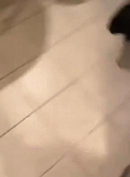 第一次人机大战电影,第一次人机战争