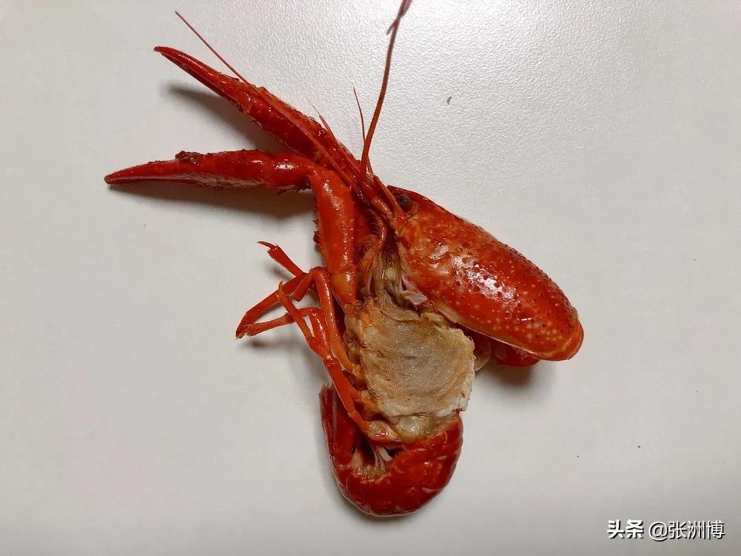 网红红黑榜,今年小龙虾排行榜