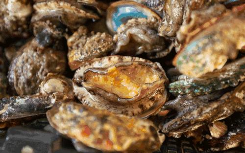 汕尾人吃海鲜,原来海边人是这样吃海螺的