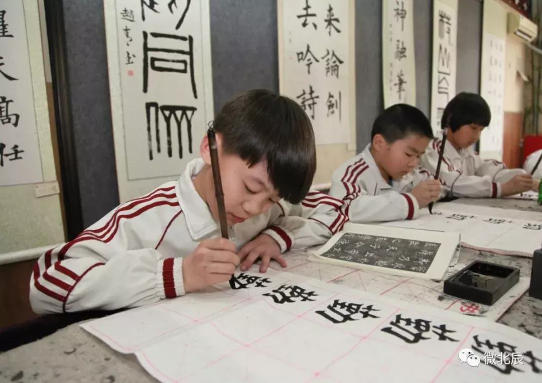 北辰教育发展,北辰教育现状