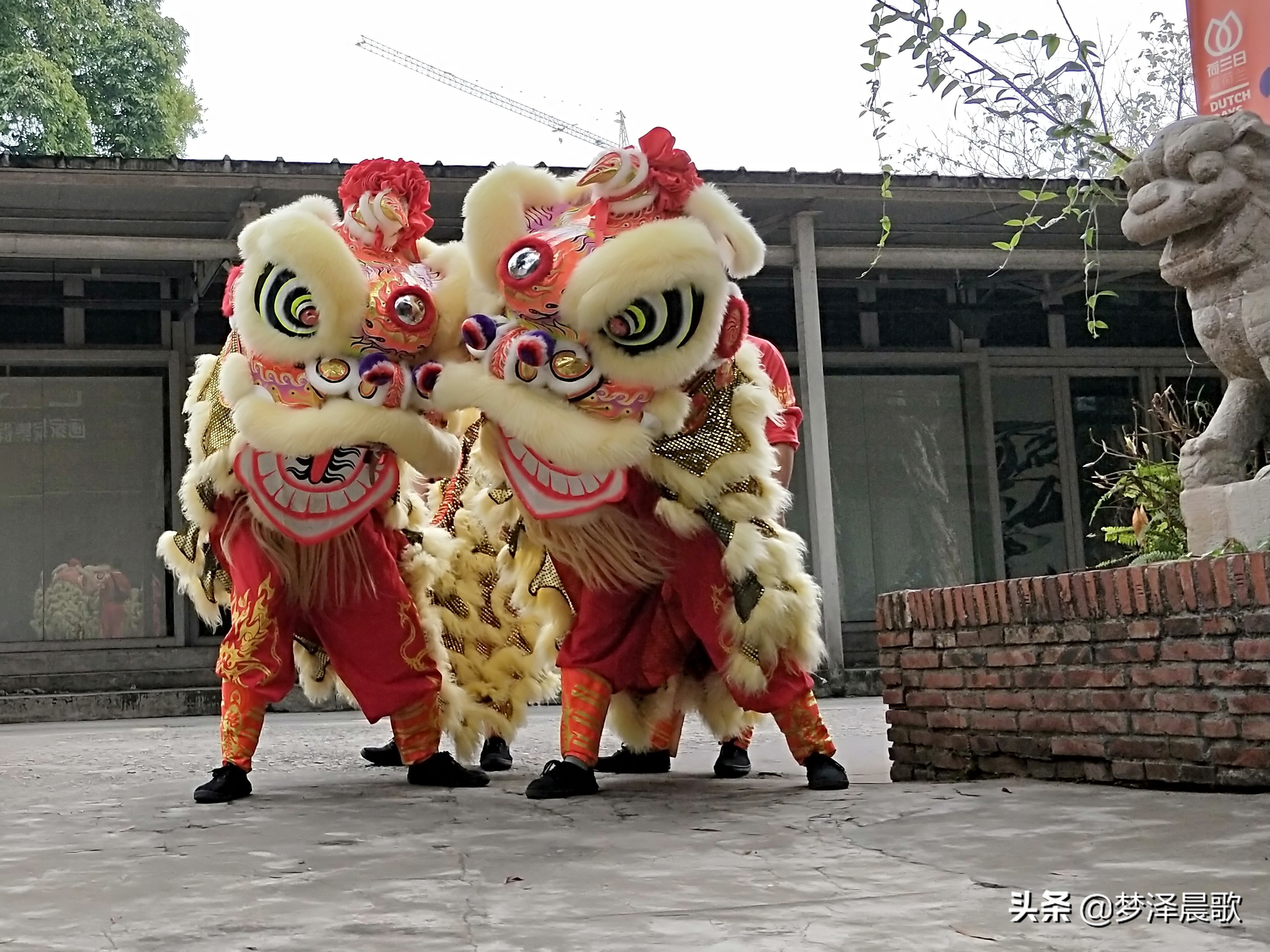 猪年大吉喜气洋洋广场舞,猪年金猪大吉广场舞